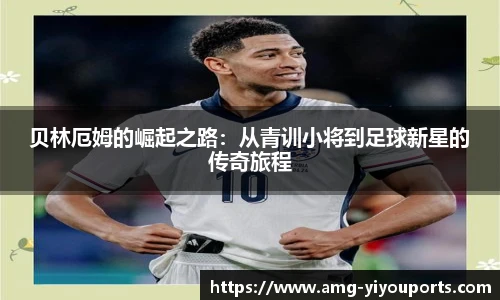 YY体育