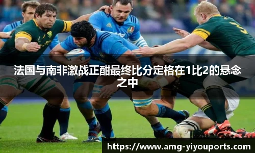 法国与南非激战正酣最终比分定格在1比2的悬念之中